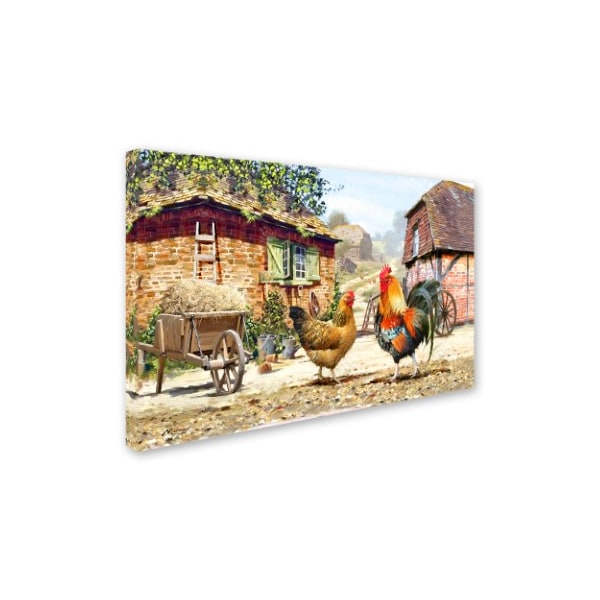 The Macneil Studio 'French Cockerel' Canvas Art,22x32